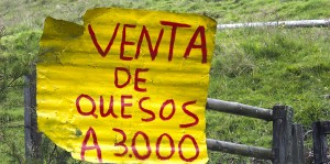 Venta de Queso